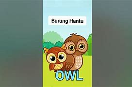 Anak Burung Hantu Dalam Bahasa Inggris