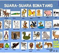 Suara Binatang